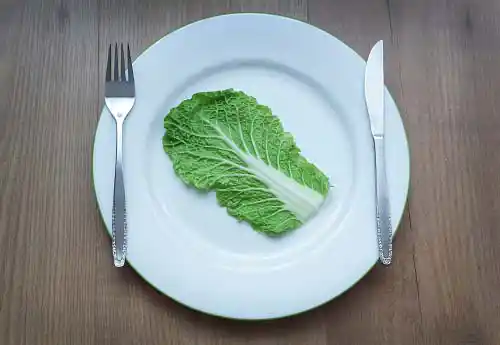 Salad leaf on plate
